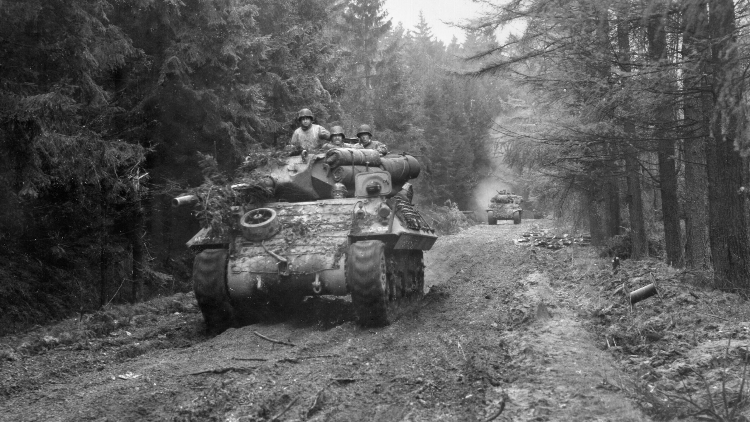 Vehicles from the 893rd Tank Destroyer Battlion roll down a logging trail through the Hürtgen Forest on their way to support the 28th Infantry Division at Schmidt, November 4, 1944.